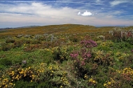 Serra do Laboreiro